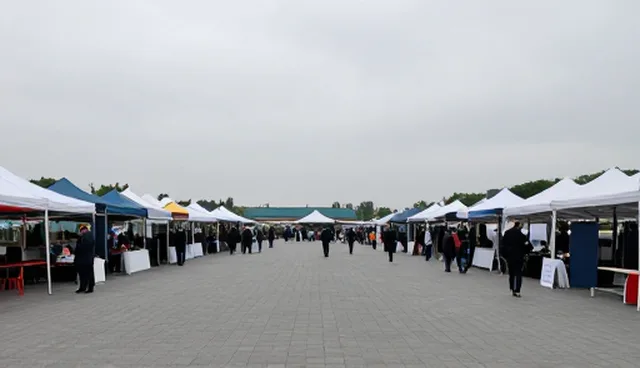 商务管理咨询:市场调研常见问题与处理方法